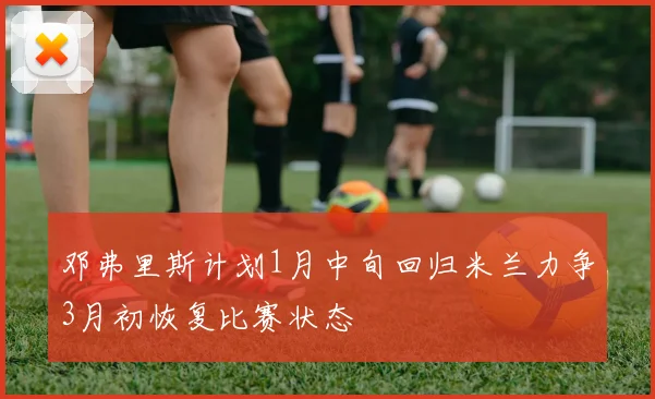 邓弗里斯计划1月中旬回归米兰力争3月初恢复比赛状态