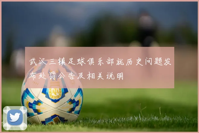 武汉三镇足球俱乐部就历史问题发布处罚公告及相关说明