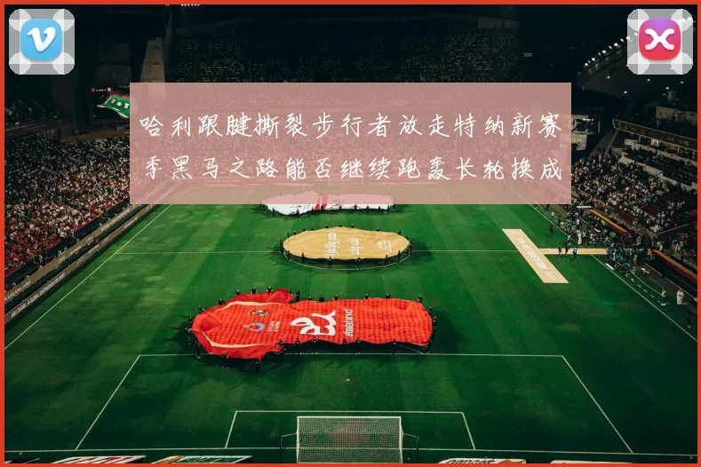 哈利跟腱撕裂步行者放走特纳新赛季黑马之路能否继续跑轰长轮换成关键