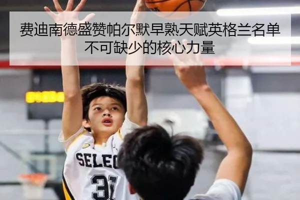 费迪南德盛赞帕尔默早熟天赋英格兰名单不可缺少的核心力量（3377Sports）